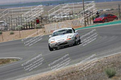 media/May-03-2025-Lucky Dog Racing (Sat) [[206de64b9d]]/Turn 4 B (1150am-130pm)/